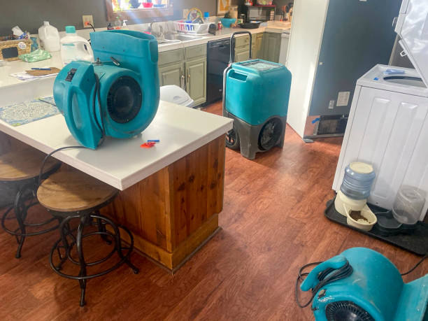 Best Sewage cleanup and water damage restoration  in Thatcher, UT