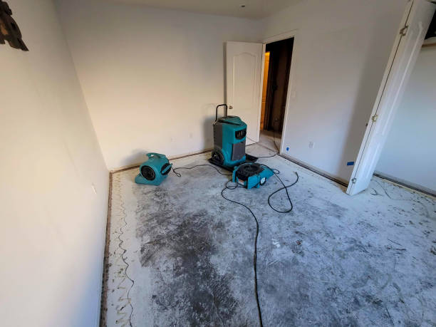 Best 24/7 water damage repair  in Thatcher, UT