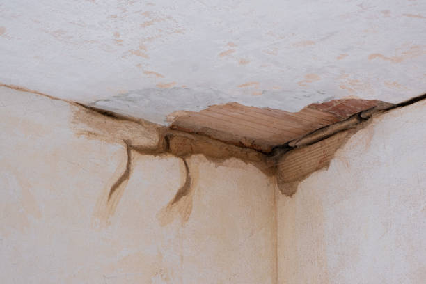 Best Local water damage restoration  in Thatcher, UT