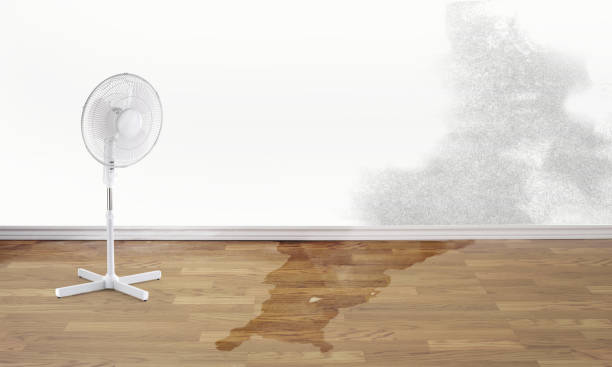 Best Water damage restoration cost  in Thatcher, UT