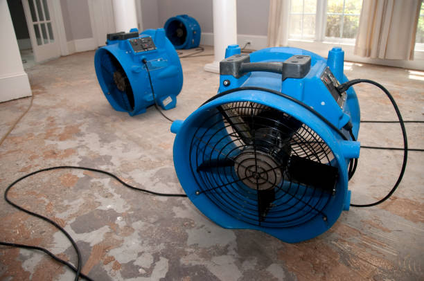 Best Water damage restoration near me  in Thatcher, UT