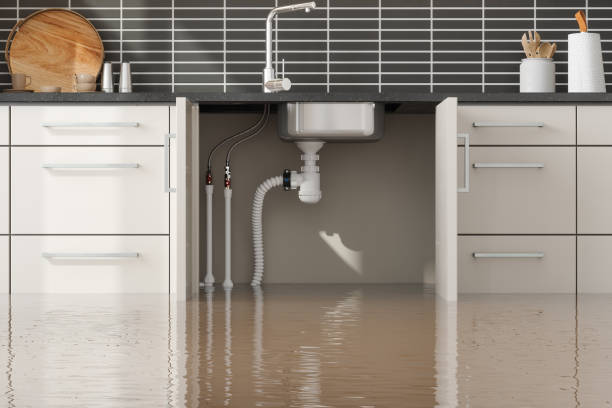 Best Water damage cleanup near me  in Thatcher, UT